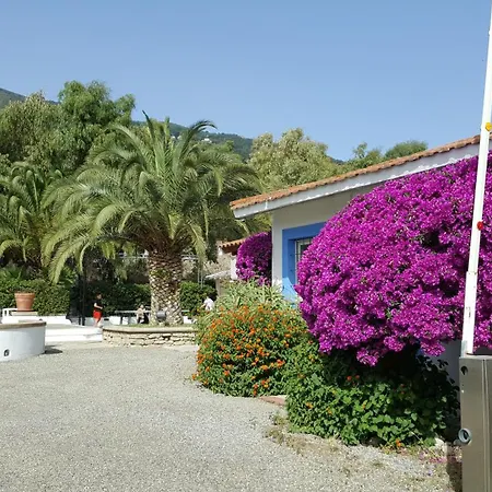 Il Cicero Campsite