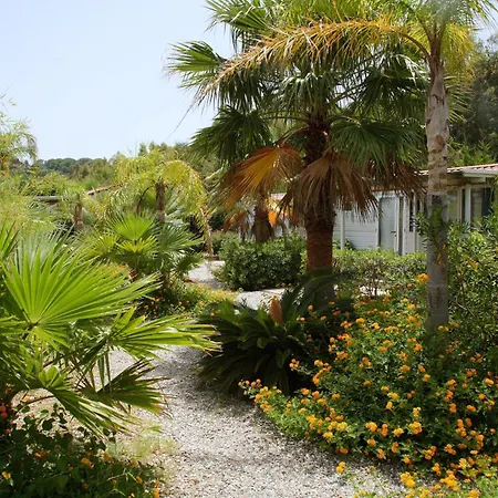 Campsite Il Cicero 2*
